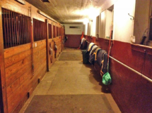 Photo of the boarding stables at Amethyst Farm