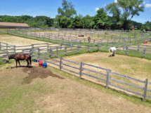 Photo of corrals at Amethyst Farm
