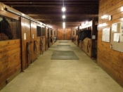Interior of equine facility