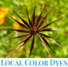 Logo for Local Color Dyes